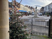 Families deliver peace Christmas  tree to MP