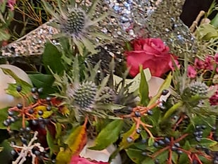Monmouth Floral Society