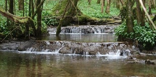 Wye Valley council considers using power of streams for electricity