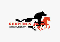 Redwings celebrates horse rescue