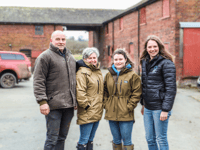 Testing for Johne's disease in cattle