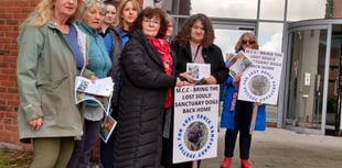 Dog sanctuary owner facing 15 alleged offences