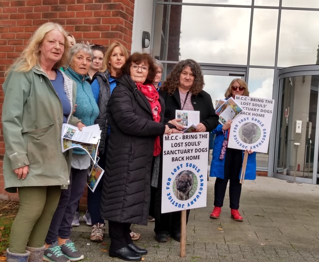 Dog sanctuary owner facing 15 alleged offences