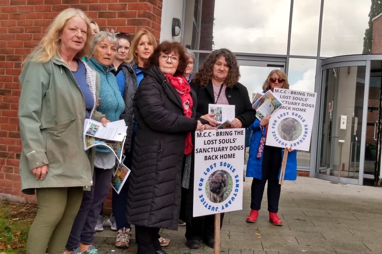 Dog Picket Monmouthshire