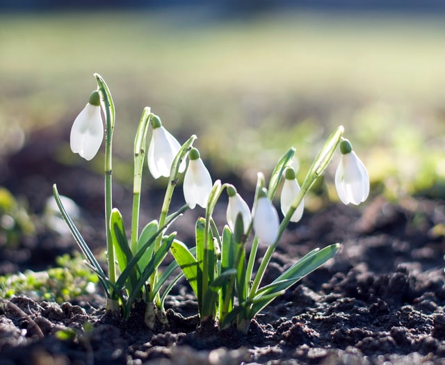 VIDEO: A mindful life with Beverley Jones