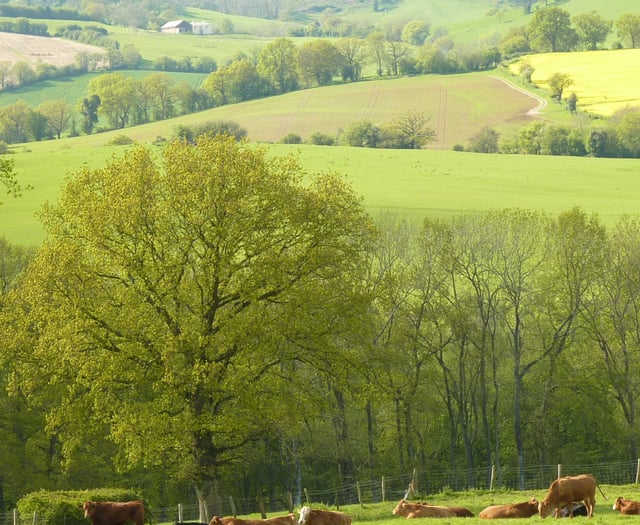 Farmers mistrust new WG plans for countryside