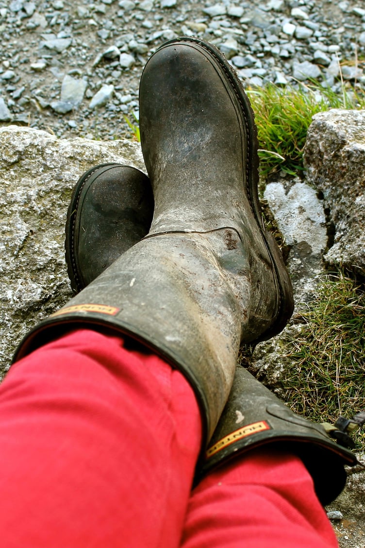 Image by John Collins from Pixabay