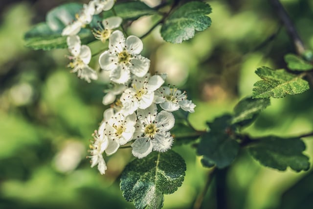 Farmers ‘can’t be green if they are in the red’, says charity