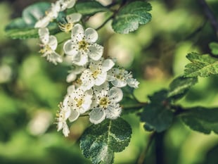 Farmers ‘can’t be green if they are in the red’, says charity
