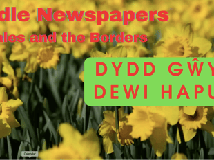  Dydd Gwyl Dewi Sant - Happy St David's Day