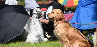 Head to Builth for the RWS Smallholding and Countryside Festival