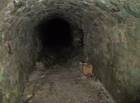 Monmouthshire man says he has found entrance to secret tunnel network