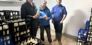 Staff hours cut as Raglan Dairy feels effect of MCC contract loss