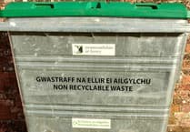 Monmouthshire Council leads climate efforts in the UK