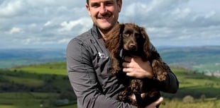 Tories call for statutory powers for the RSPCA