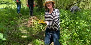 View from the campaign trail with Catherine Fookes