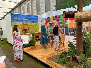Bees for Development Celebrates World Bee Day