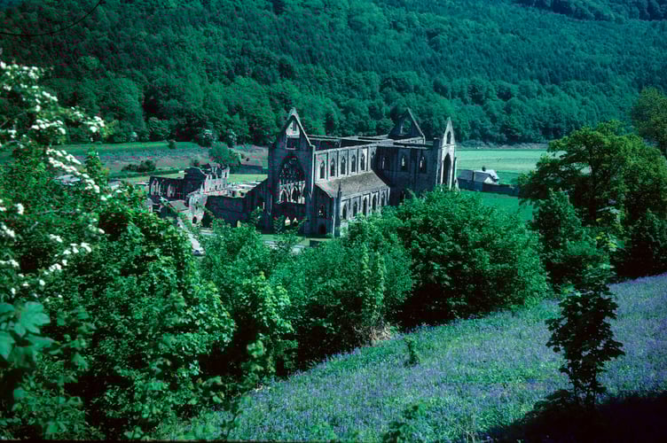 Tintern Abbey