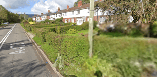 Woman arrested on suspicion of attempted murder