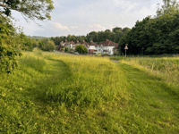 Letter to the editor - Council mow orchids