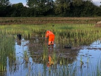 Innovative wetland project recognised with award