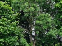 Monmouthshire planning updates
