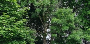 Monmouthshire planning updates