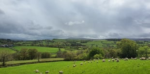 Union welcome for farming support schemes