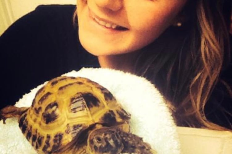 Hannah Deakin with Marley the tortoise. A woman's pet tortoise and pet cat developed an incredible bond - and they eat, sleep and play together. Animal lover Hannah Deakin, 31, has had tortoise Marley for 15 years - but introduced a moggie to the clan five years ago. She didn't expect cat Obi, six, to interact much with Marley - and for the first year they were wary of one another. But they began to bond eventually - and now the pair are the best of friends. 
