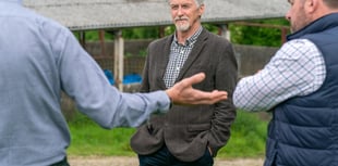 New TB Board established for Wales