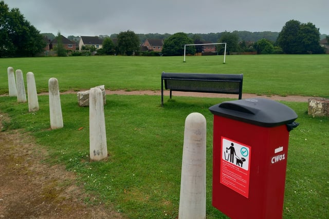 Council hold dog fouling awareness day