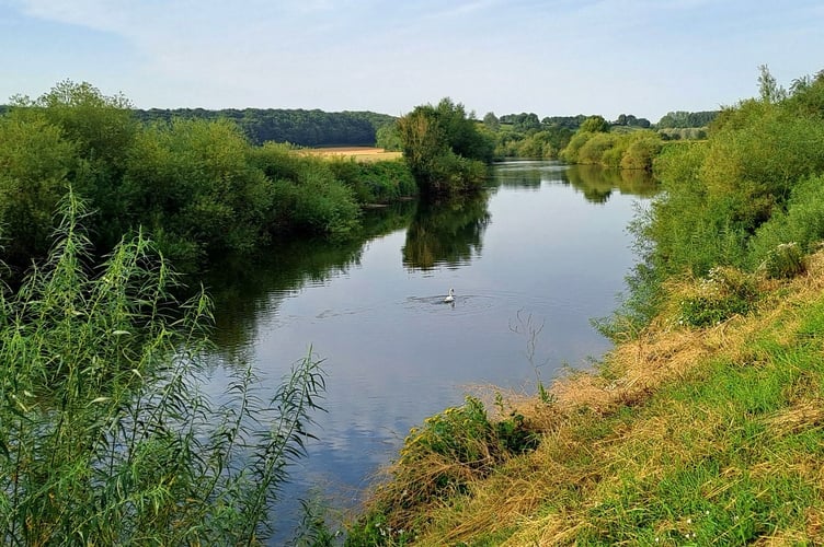 Wye pollution is not just down to poultry farms, claims a new report