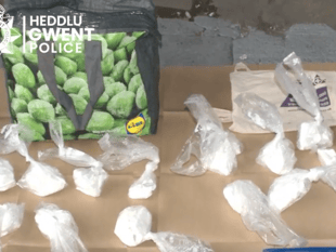 Gwent Police seize drugs worth £400,000 in early morning raids 