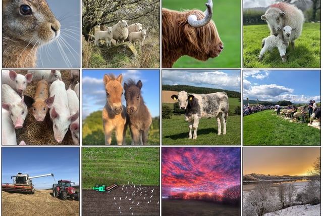 Winners revealed for FUW 2025 calendar competition