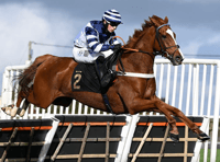 Celtic Dino second in Ascot showcase as Sam celebrates more success
