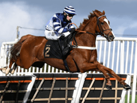 Celtic Dino second in Ascot showcase as Sam celebrates more success