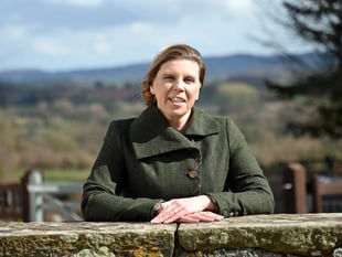 Hybu Cig Cymru heading into next stage of its development