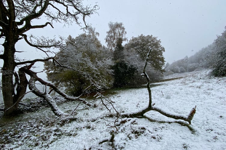 Snow