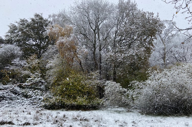 snow