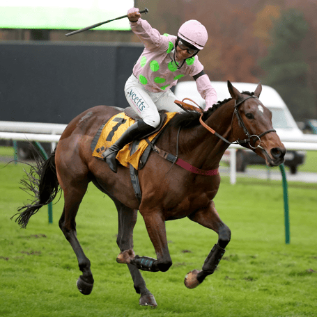 Charlie Deutsch salutes as Royale Pagaille takes the Betfair Chase for the second year running 