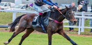 Djelo storms home to 'Boro Chase