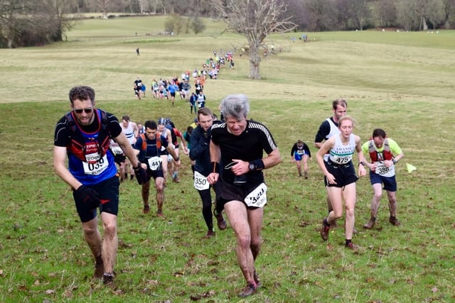 Jingle fells as festive runners reach for skies 