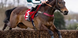 Venetia targets Gold Cup glory with stable duo