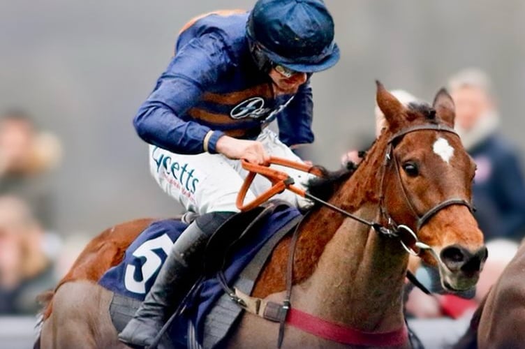 The Famous Five storms to victory at Newbury