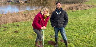 Farm's tree planting event for farm resilience