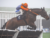 Racecourse defends cancellation after two races