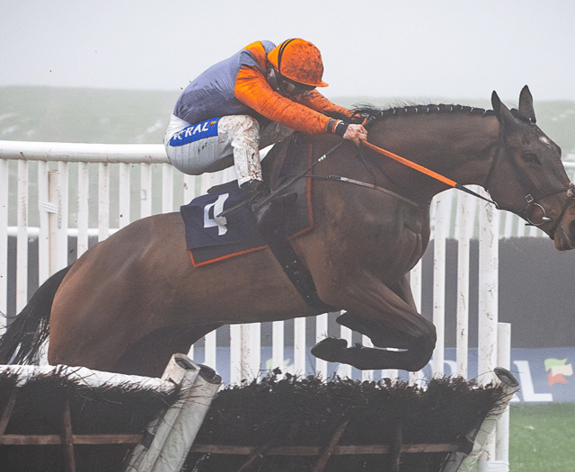 Racecourse defends cancellation after two races