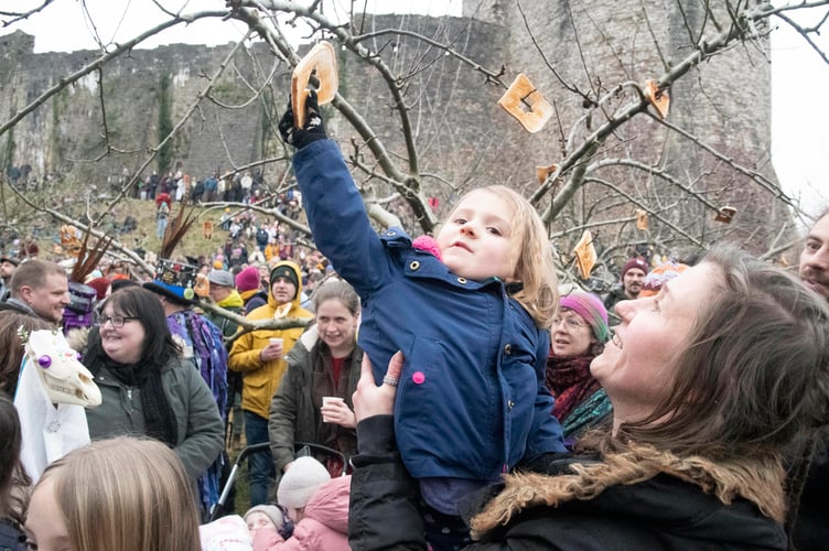 Mymble Riach of  Drybrook places a piece of toast on a tree in the Castle Dell orchard