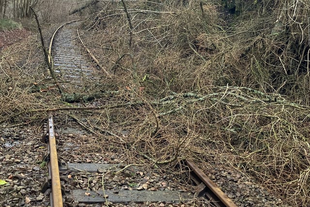 Check travel plans as Storm Eowyn heads towards Wales