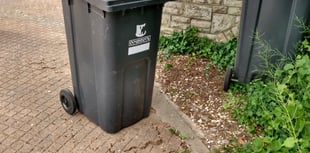 Councillor says missed bin collections 'not a big impact'